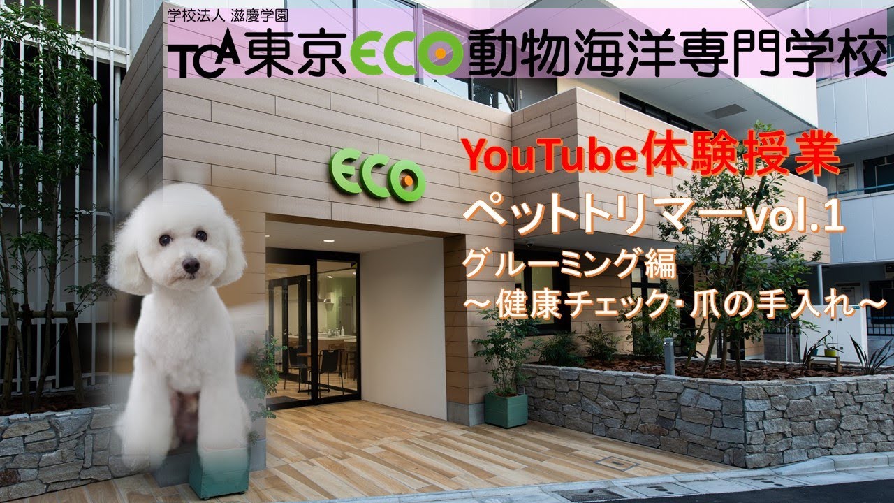 オンライン体験授業＜ペットトリマー vol.1＞～健康チェック・爪の