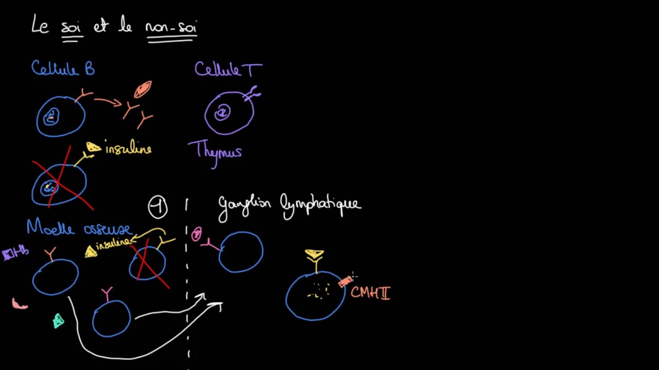 Immunité : Le soi et le non-soi