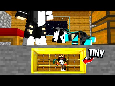 How i became TINY in this MINECRAFT SMP