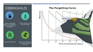 Final project cognitive psychology