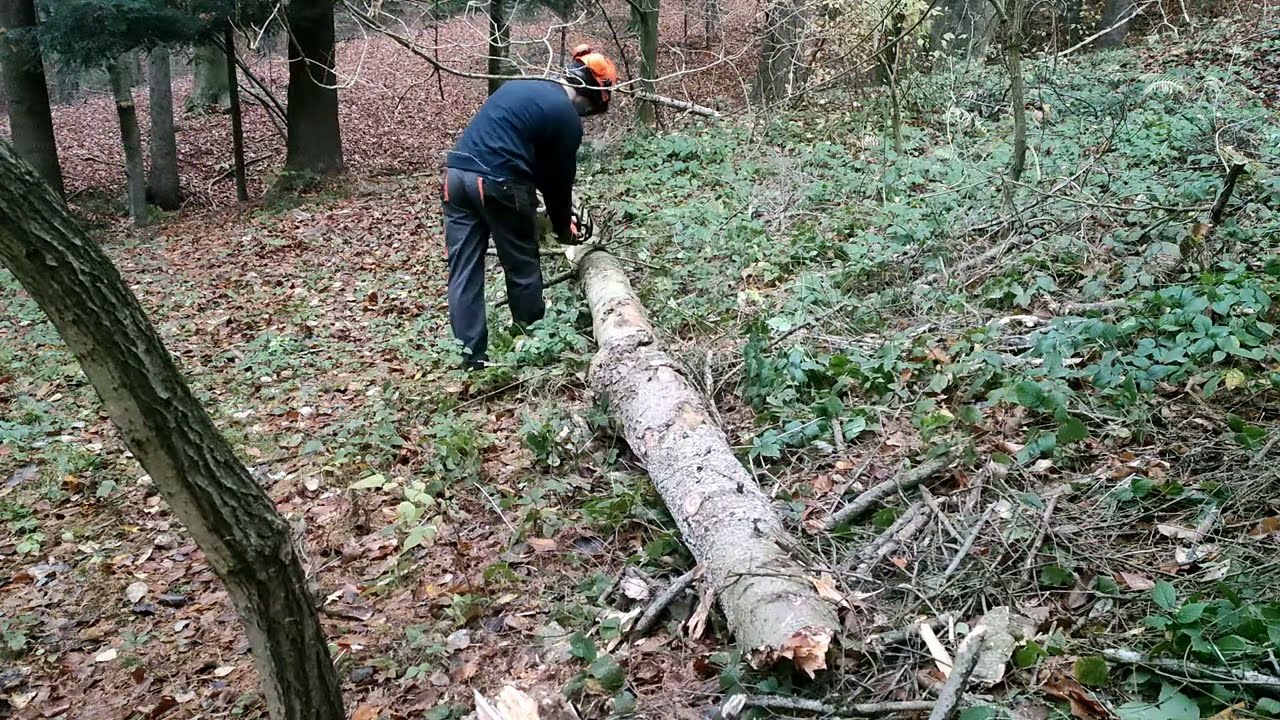 Shindaiwa 251Ts Omówienie i Prezentacja-(Pierwszy raz na Polskim yt w takiej konfiguracji)