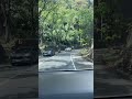 Driving down memory lane