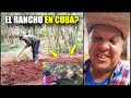 De vuelta en cuba  as est el rancho en cuba 1 ao despues  todo ha cambiado