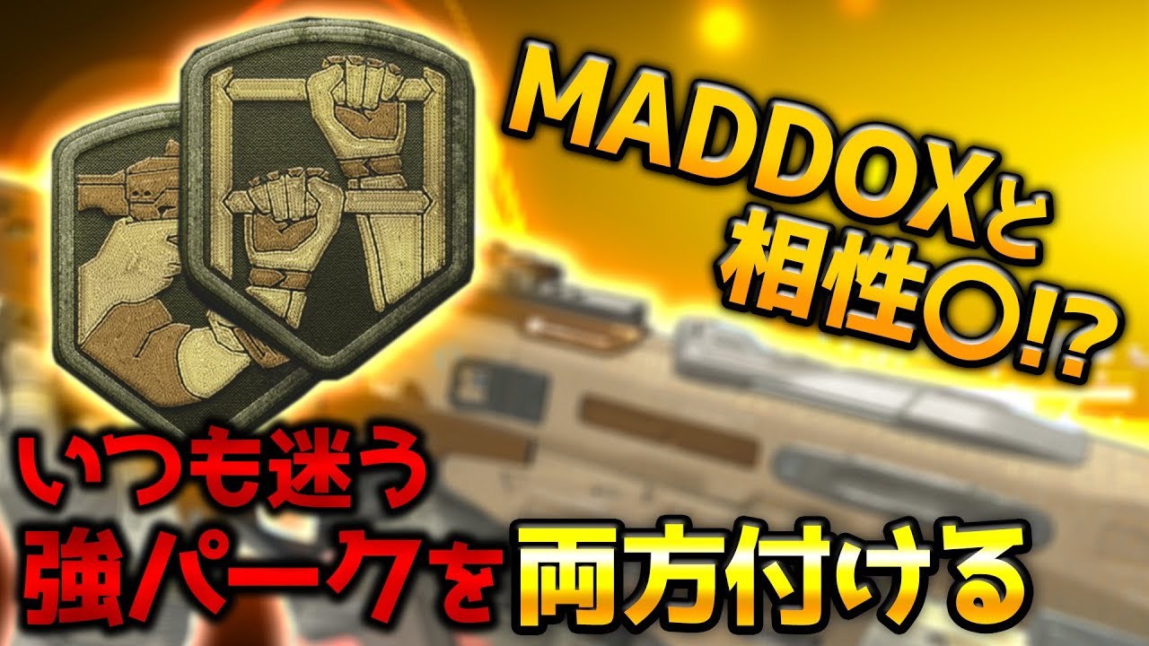 Bo4 実況 Maddoxと相性 いつも迷う強perkを両方付ける欲張りカスタム ぐっぴー Rush Gaming Cod Bo4 Youtube