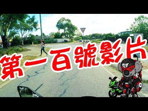 第100號影片 -- 三寶有越來越多的趨勢阿!!!!!!!