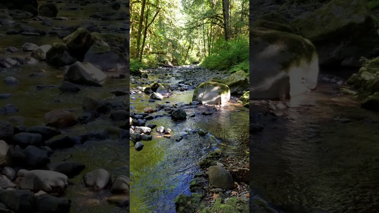 Fall Creek, Oregon YouTube