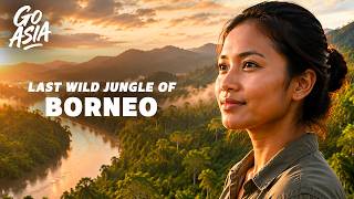 The Secrets of Borneo's Ancient Jungle | Documentary AMP