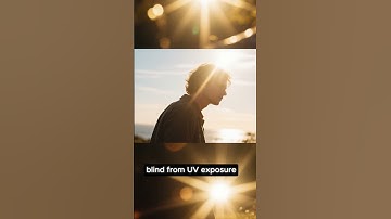 What If The Ozone Layer Disappeared?