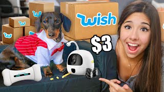 Trying the Most EXPENSIVE Dog Gadgets on Wish!!!