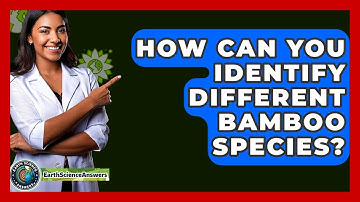 How Can You Identify Different Bamboo Species? - Earth Science Answers