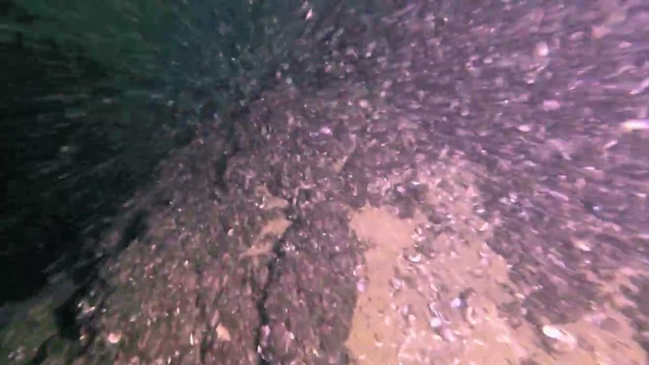 Riva del Garda lucci&anguille