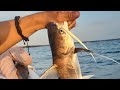 Travel Vlogs/Ocean fishing