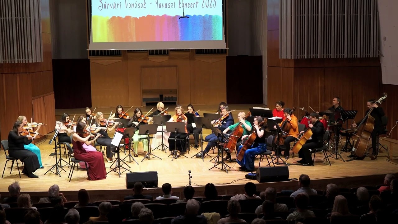 Lord - Vándor (Sárvári Vonósok cover)