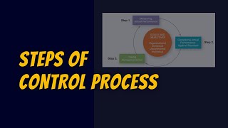Steps of Control Process in Management | Controlling