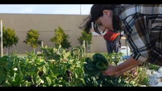 Adobe Verde Gardens 2.Avi