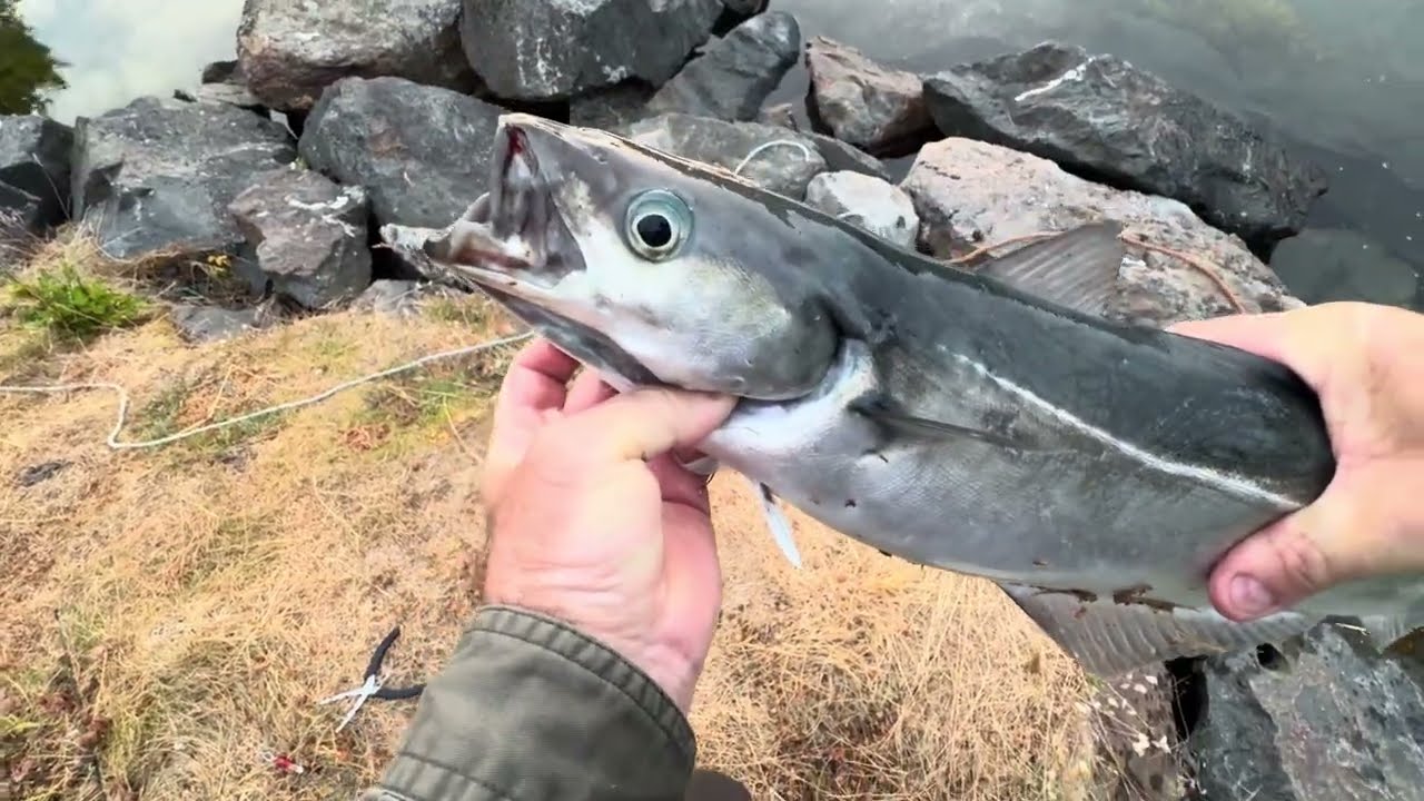 Рыбалка в заполярной Норвегии