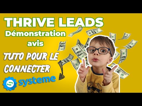 THRIVE THEME et son Plugin THRIVE LEADS ? Connexion avec SYSTEME.IO ?