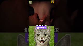 Deep 🤣 #funny #cat #memes #dance #tiktok