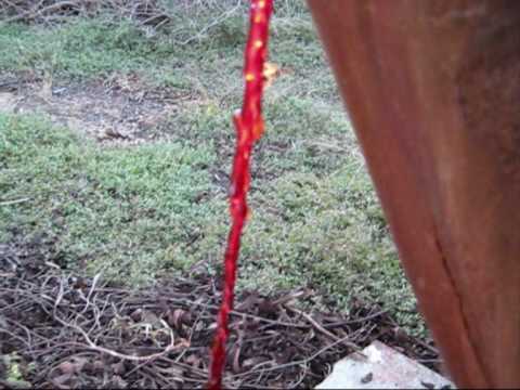 Mulga Stalactite