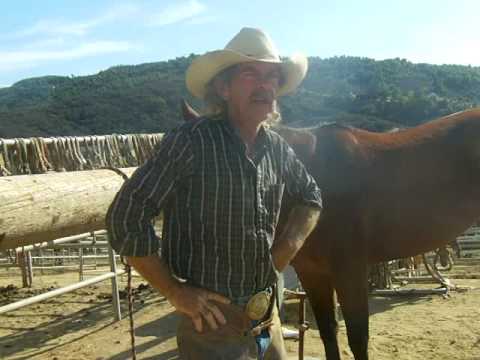 Importance of a balance hoof ,David Lee Archer