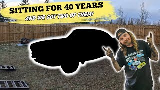 Download Lagu RARE CAR ALERT! And We Got Two Of Them, Welcome The Weirdest Build to DD Speed Shop! MP3