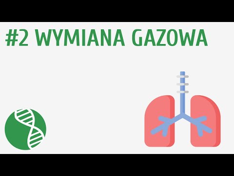 Jak układy nerwowy i oddechowy współpracują ze sobą w celu utrzymania homeostazy?