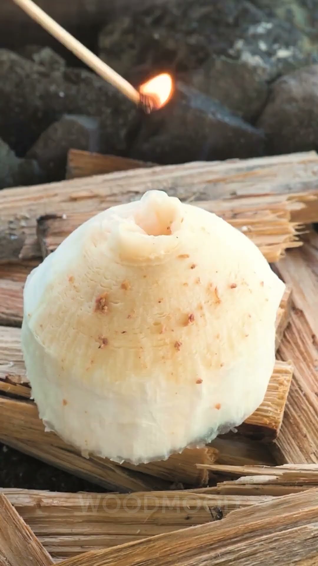 Simple Cooking Methods for the Great Outdoors ?️?