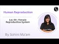 Human Reproduction 03 : Female Reproductive System