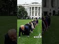 The MAGA centipede #donaldtrump #trump #america #viral