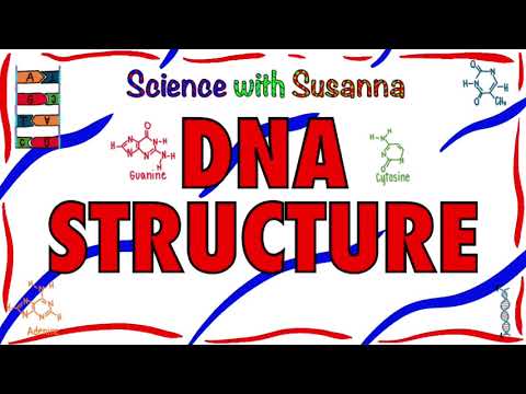 Video: DNA AG: 
