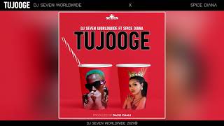 Dj Seven Worldwide & Spice Diana - Tujooge (Official Audio)