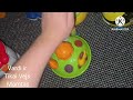 Youtube Thumbnail title