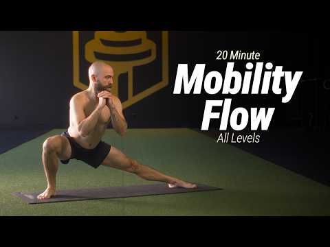 20 Minute Mobility Flow - All Levels | No Talking, Just Movement!