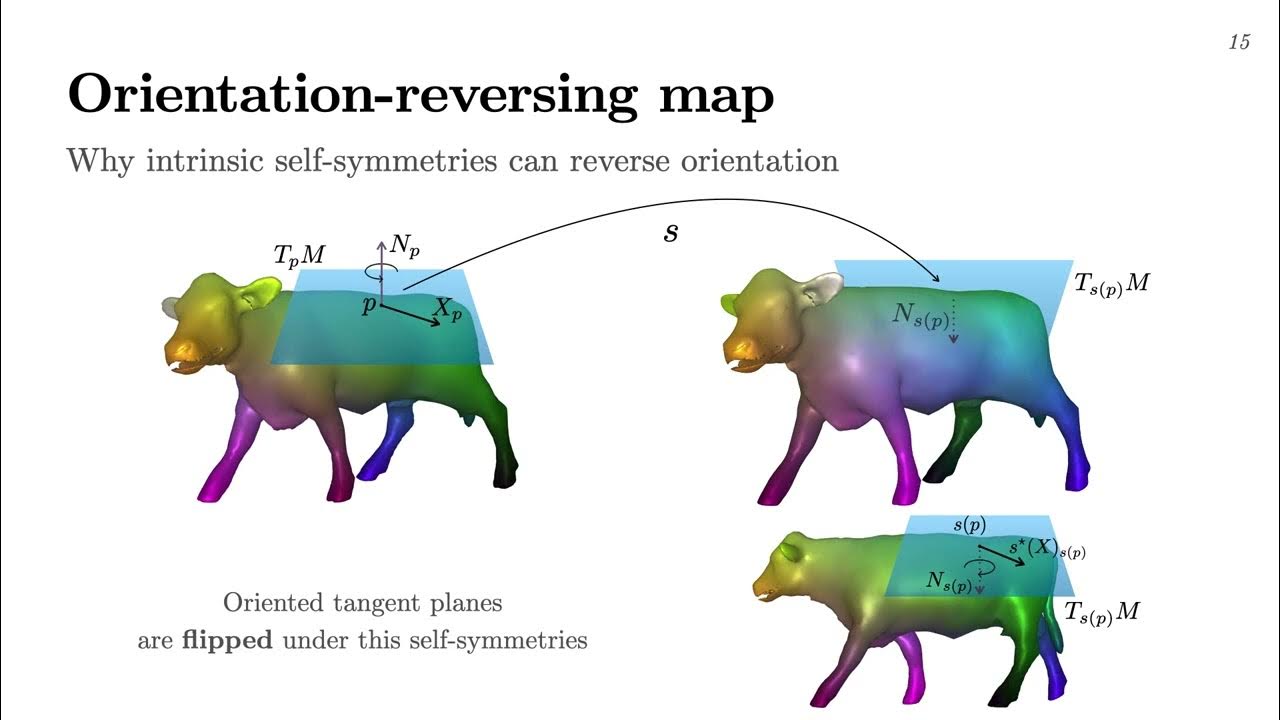 Complex Functional Maps EG2022 presentation - YouTube