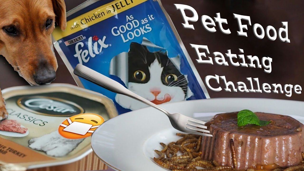 Eating Pet Food Challenge! YouTube