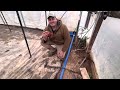 Soil and ground prep for greenhouse tomatoes