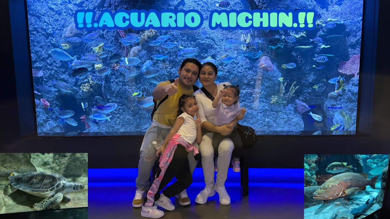 EL ACUARIO MAS GRANDE DE LATINOAMERICA.!! 🐟🐠🦈 | ACUARIO MICHIN - YouTube