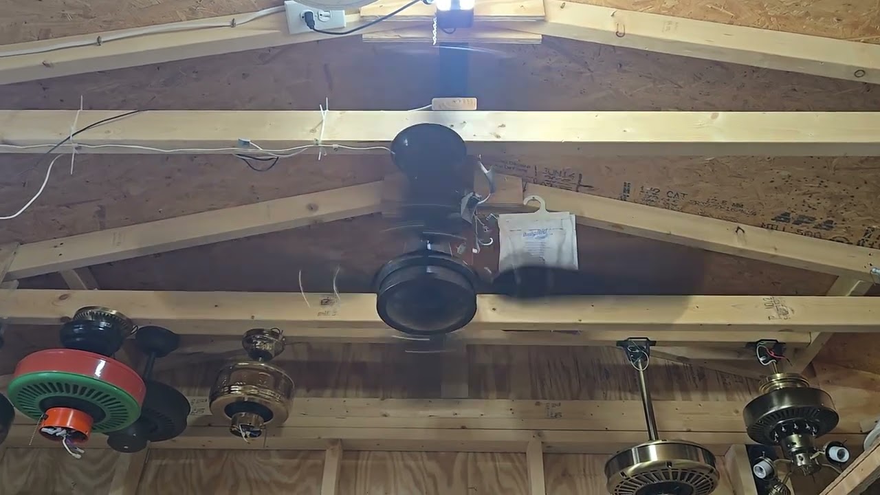 Evergo Spinner Ceiling Fan 