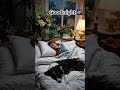 Good night....  #foryou #shorts #viral #trending #goviral #reels #blowup  #rainsoundsforsleeping