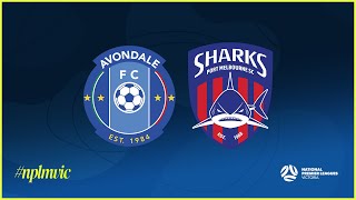 2024 NPLMVIC Round 13: Avondale FC v Port Melbourne Sharks SC