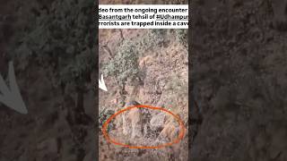 Army Officials Video Shows Shots Channel