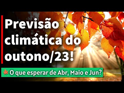 Vídeo: Qual mês é o mais chuvoso?