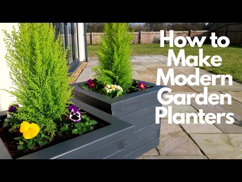 Video: Hva er standardplanter - Hvordan lage en standardplante for hagen