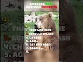 RANKING TOP 8 ANIMAL MOMENTS 🤣 #shorts