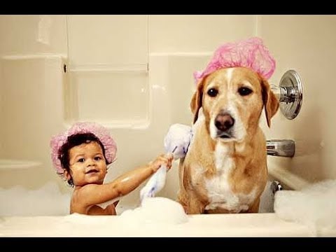 best-friend-dog-and-baby-take-a-bath-funny-time-together---cute-dogs-and-babies-compilation-2017