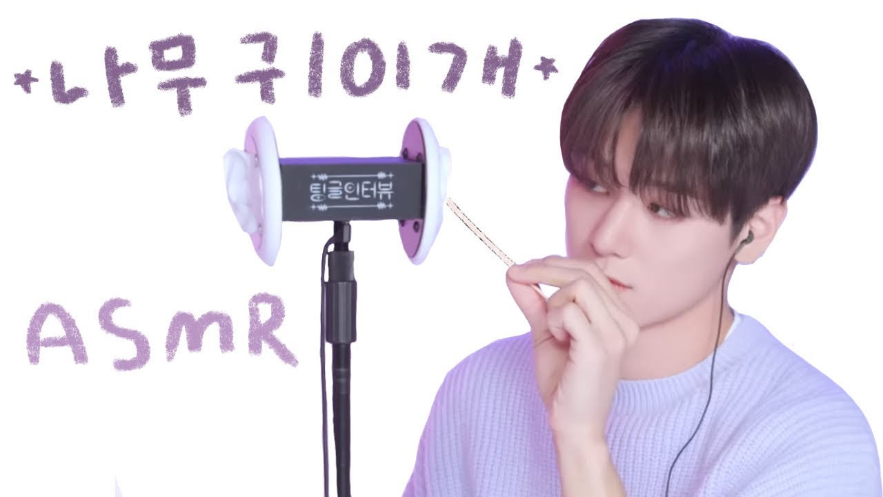 💤수면제😪 팅글인터뷰 ❝나무귀이개❞ 모음 || Tingle Interview