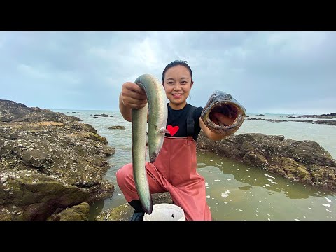 जिओ झांग समुद्र में तैरती हुई मृत मछलियों को खोजने के लिए समुद्र की ओर दौड़ता है!