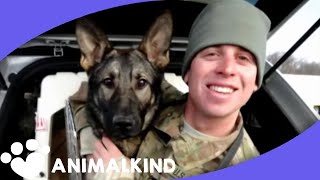 Army dog races into arms of soldier after 3 years apart