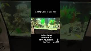 Adding water to your fish