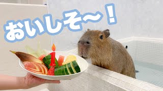 【Capybara】Tonkatsukun's 1st birthday! A birthday plate is presented!